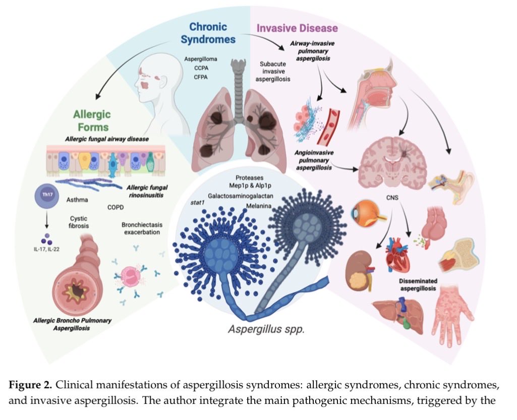 S.Enf.Infecciosas HRUM tweet media