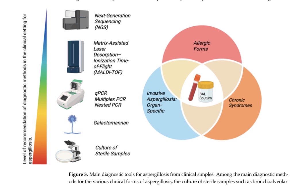 S.Enf.Infecciosas HRUM tweet media