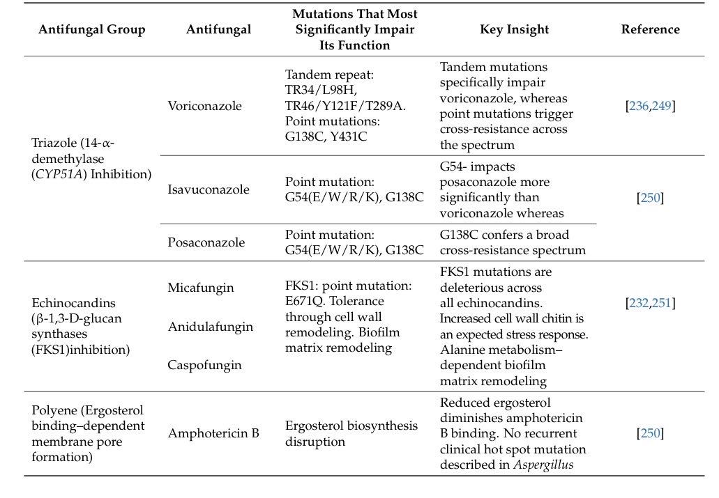 S.Enf.Infecciosas HRUM tweet media