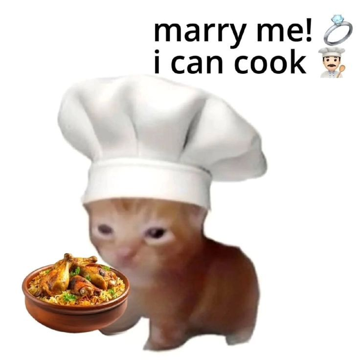 Cat Posted (@catposted) on Twitter photo 