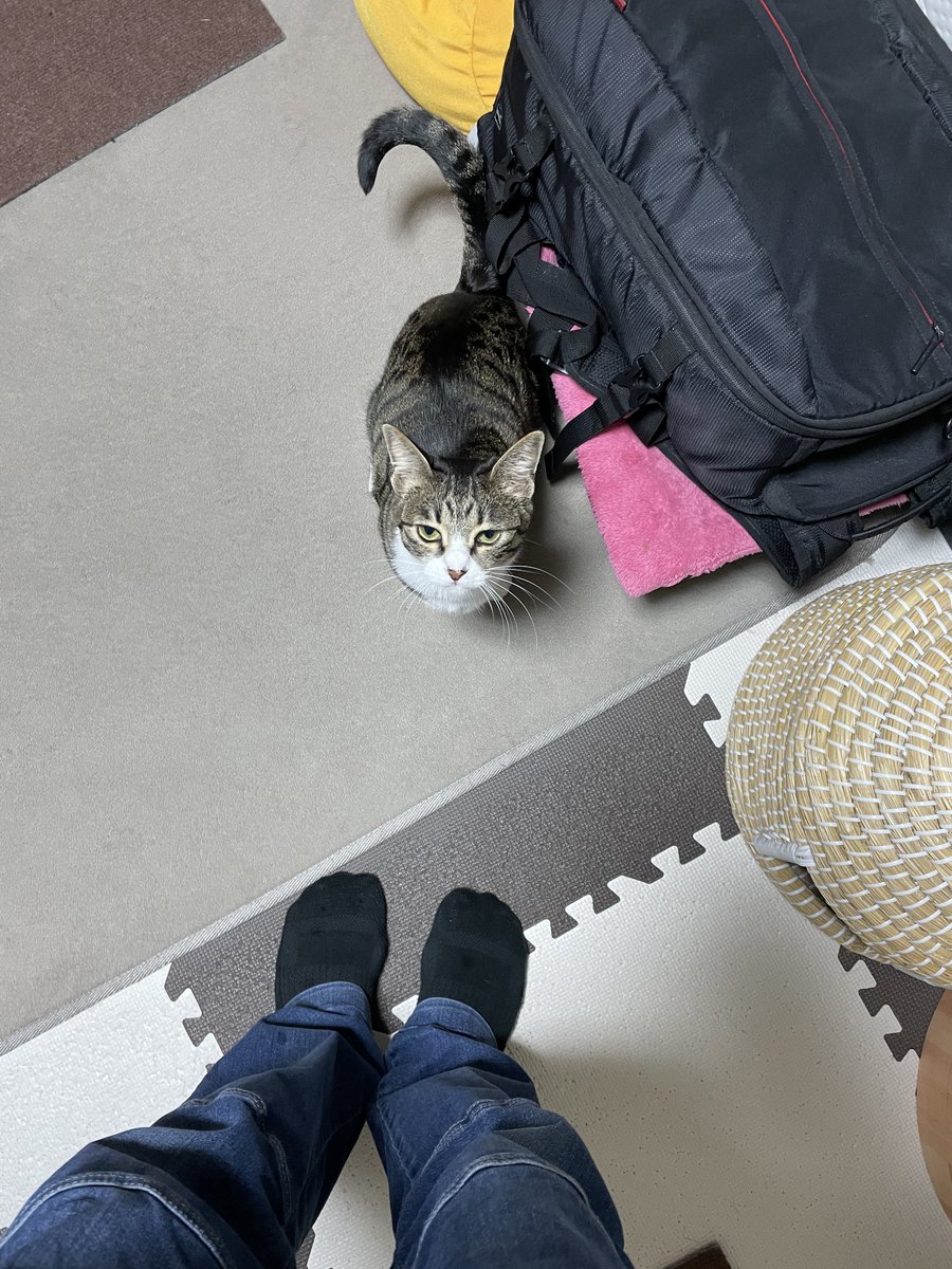 れーきゅー tweet media