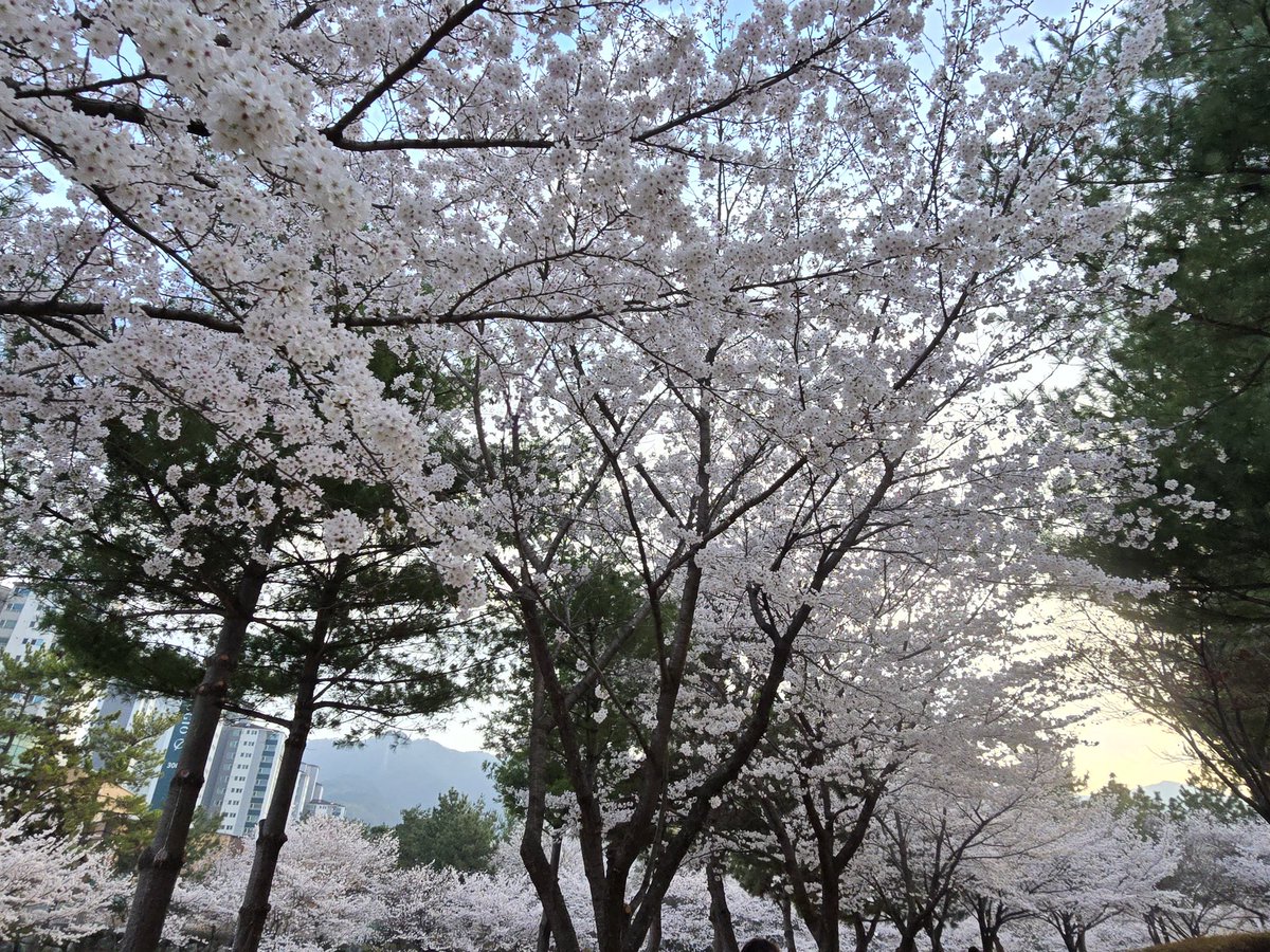 🔆시나브로:D: FLOWD 🔆 tweet media