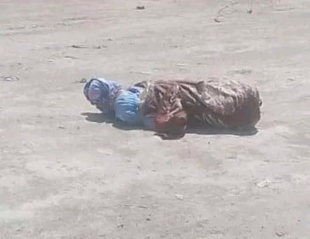 El Blog del Narco tweet media