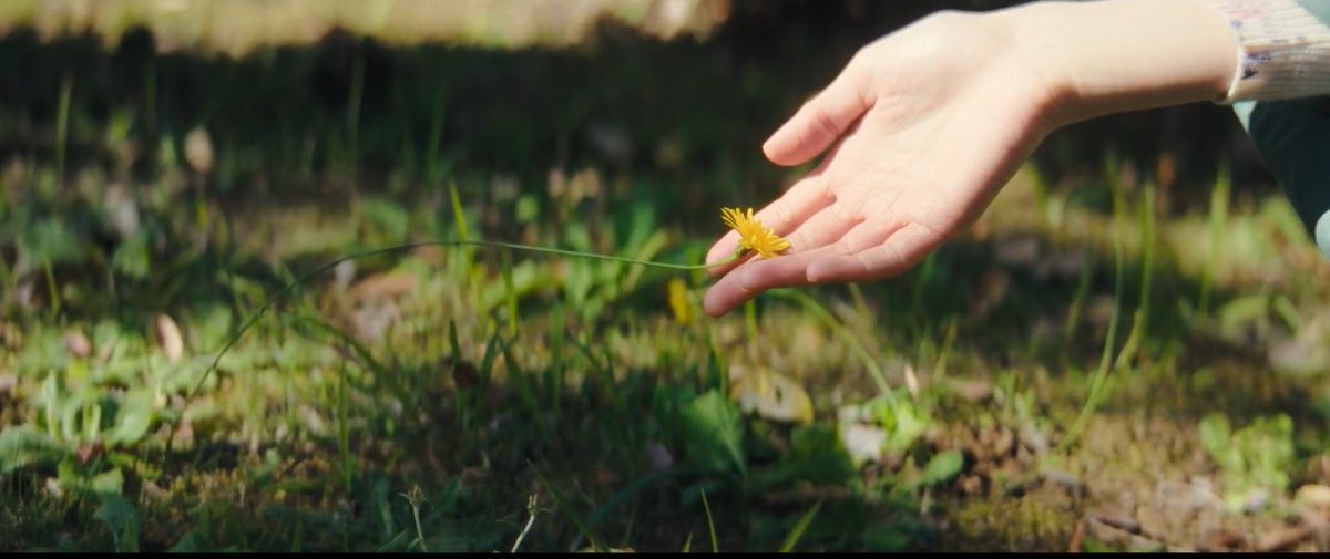 ReRe☁️. tweet media