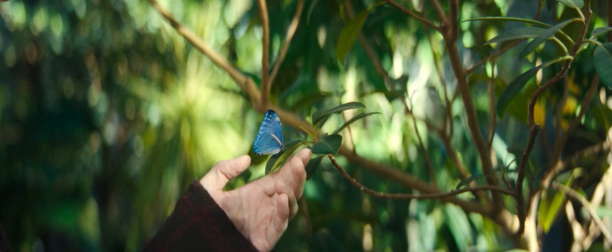 ReRe☁️. tweet media