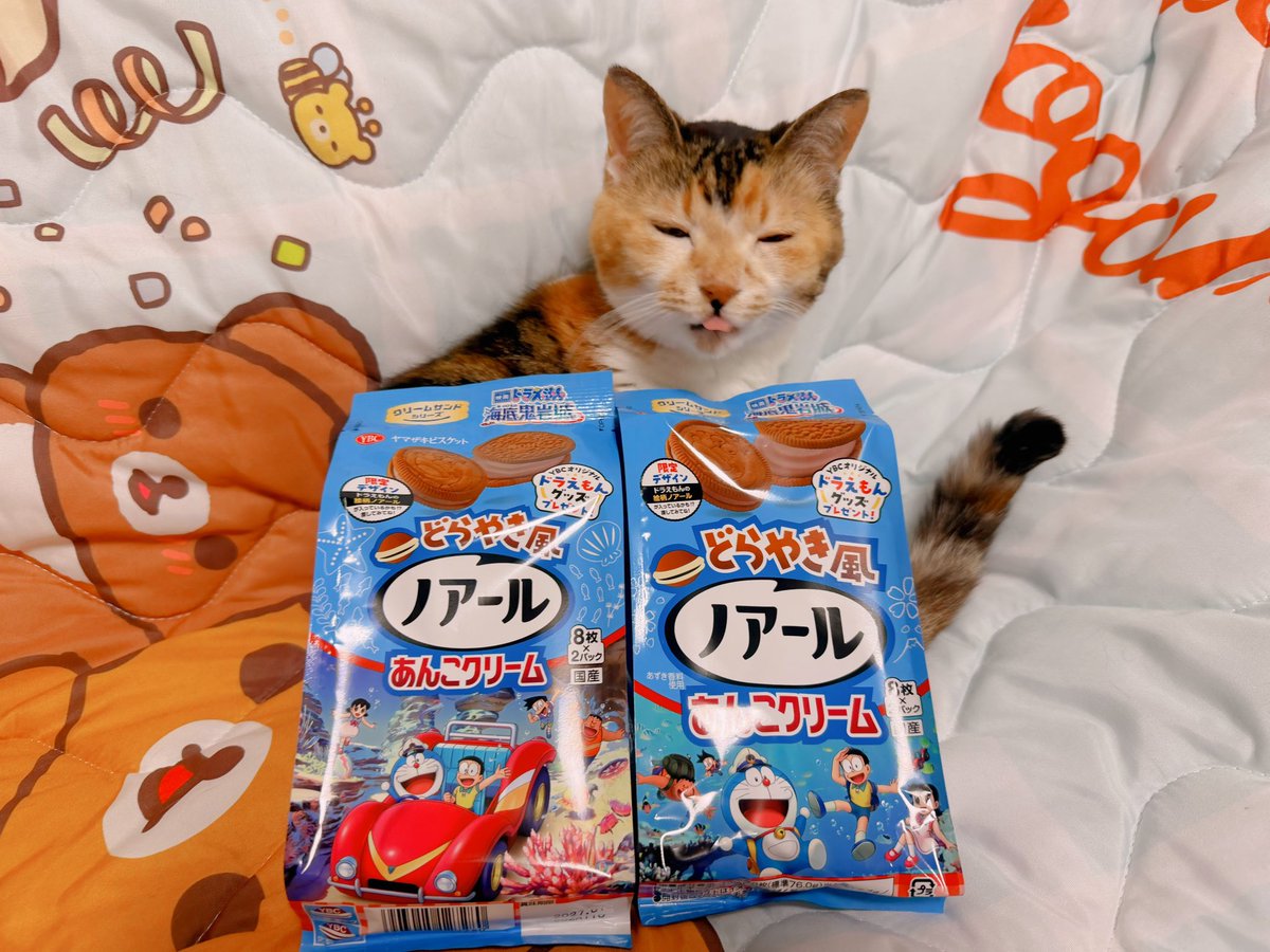 あめちゃん🐱 tweet media