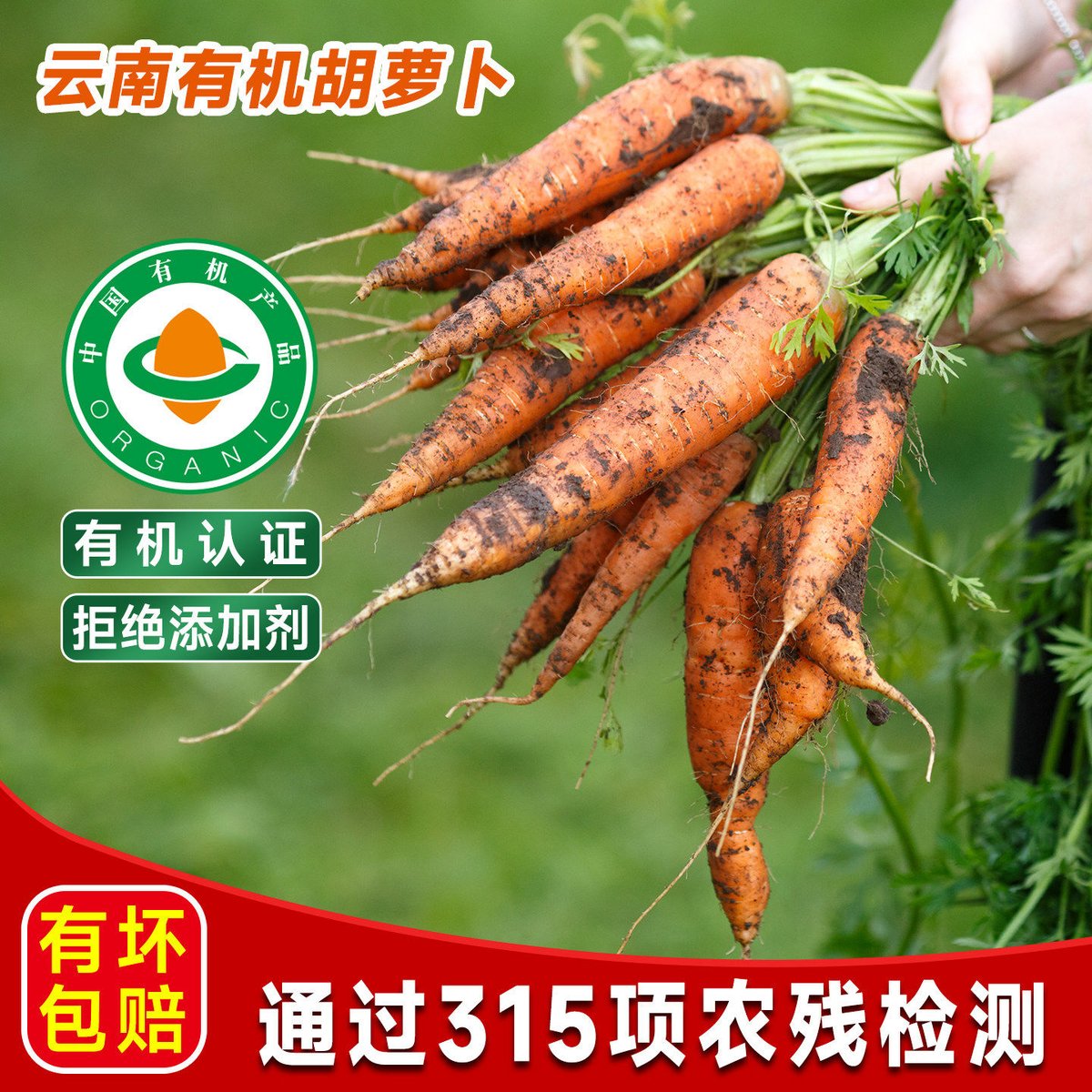 geraldo marques tweet media