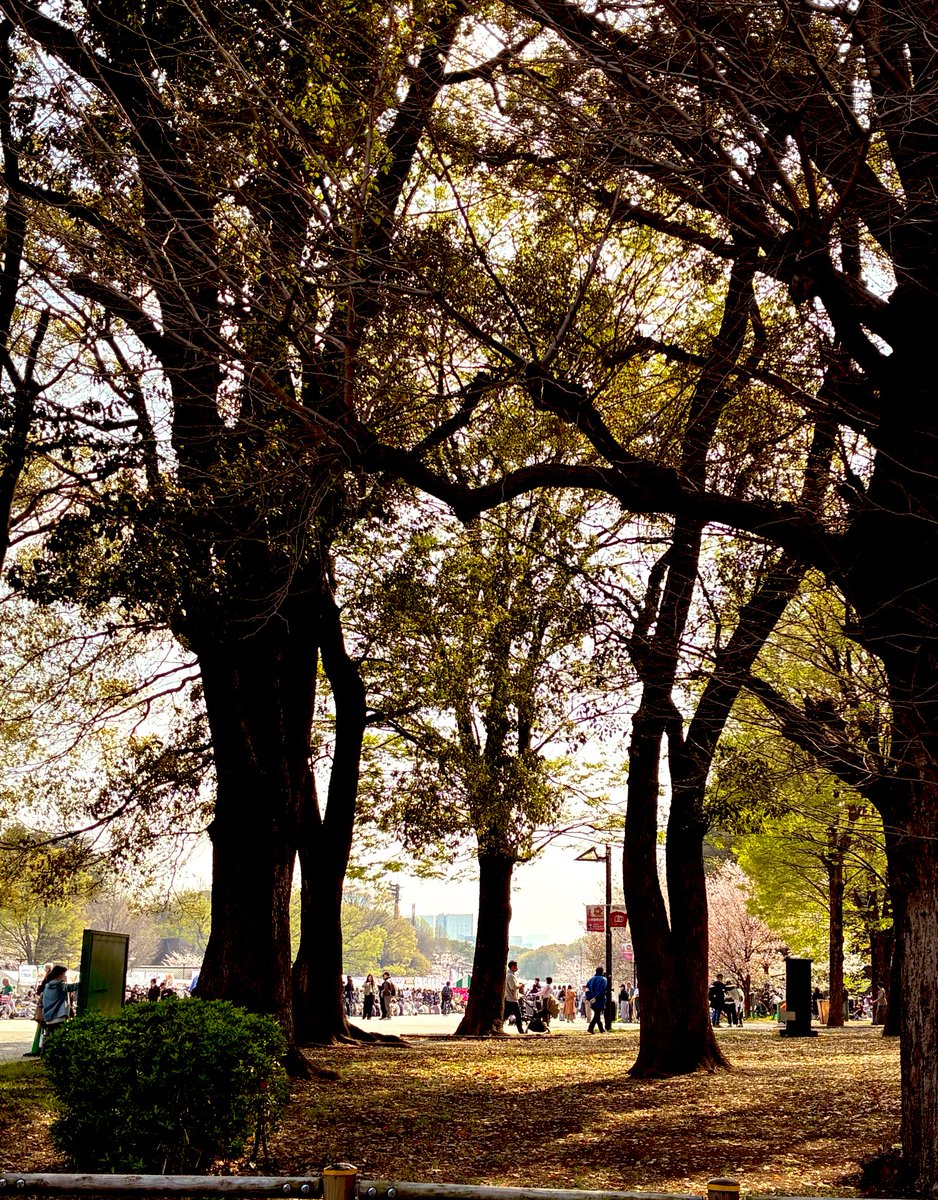 落日堂 tweet media