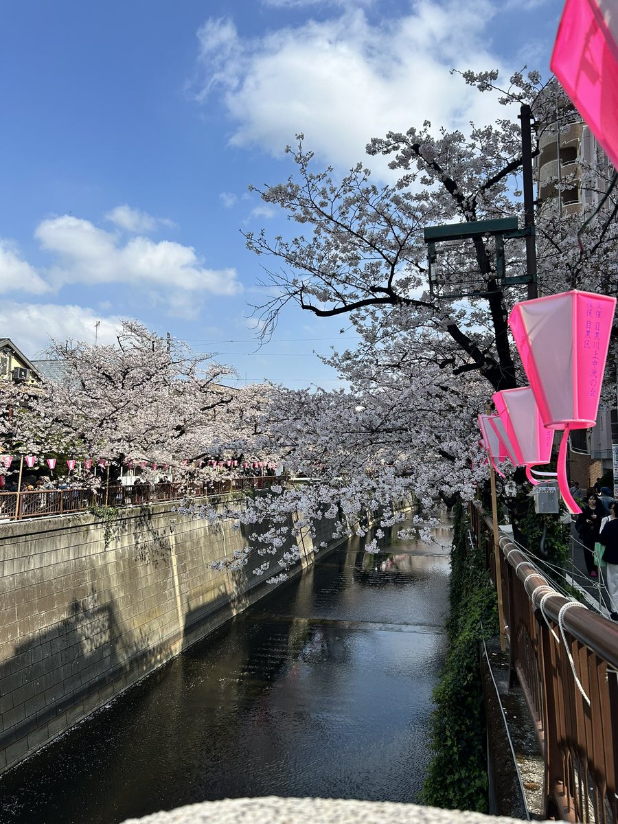 えーせ ー tweet media