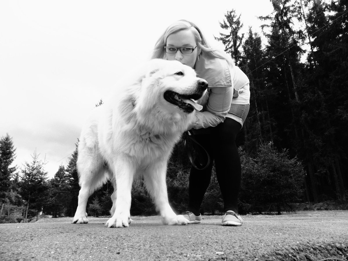 Elaine Lóre 🎨 ŠPACHTlalka vlastních světů tweet media