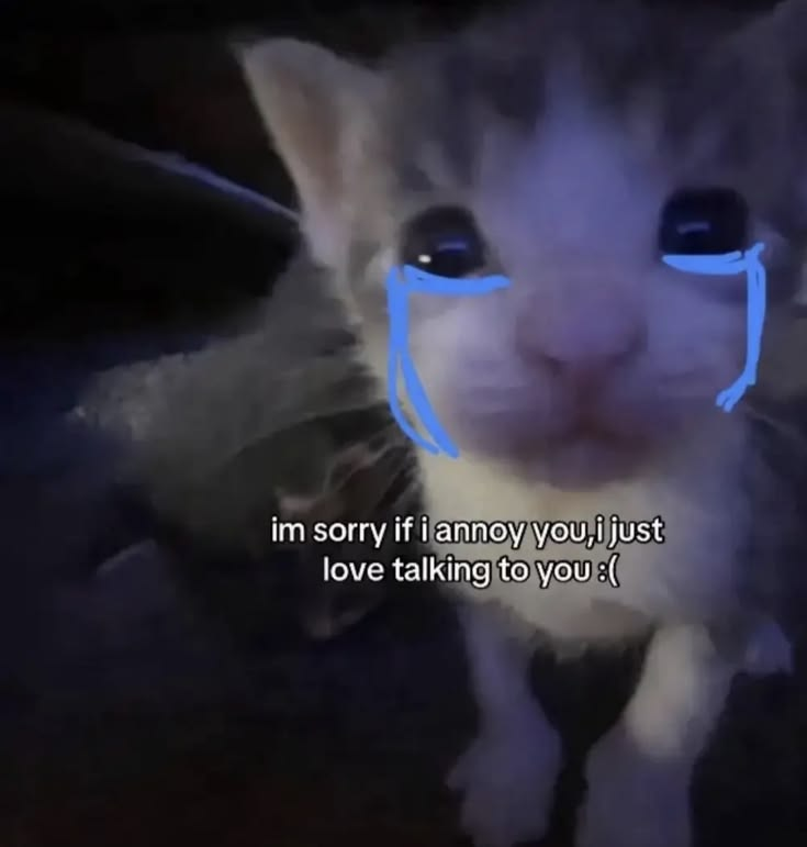 Cat Posted tweet media