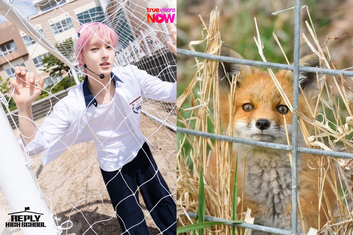 -jiahui_110- tweet media