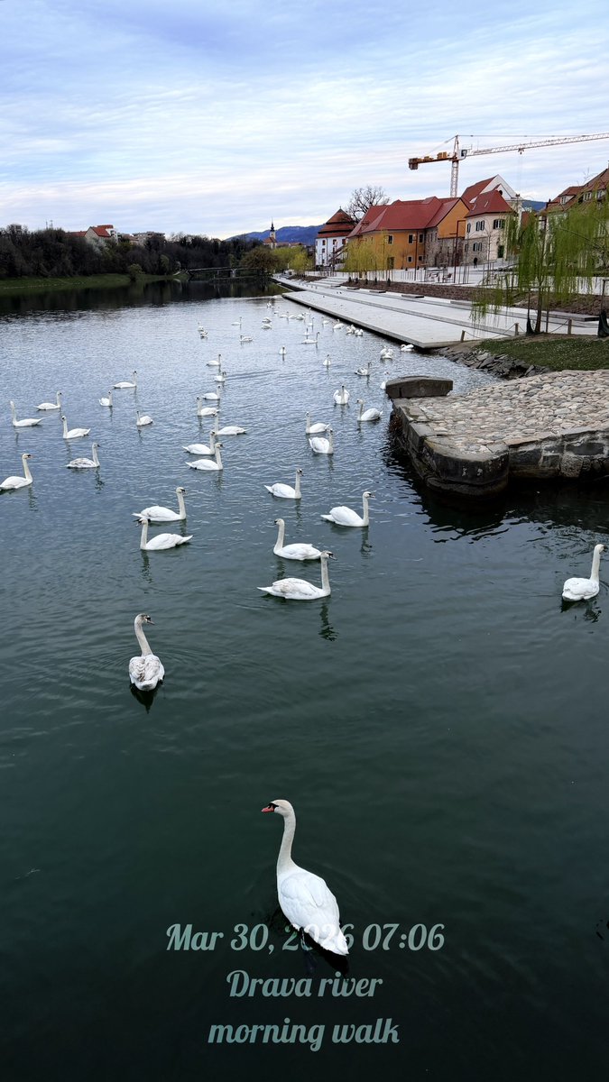 PhotoJoseph tweet media