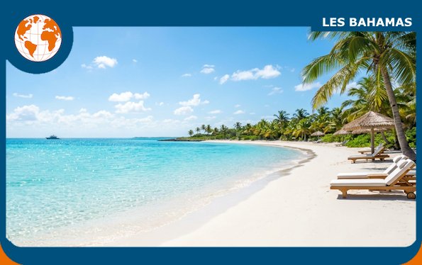 ELECTION POLITIQUE CITOYEN tweet media