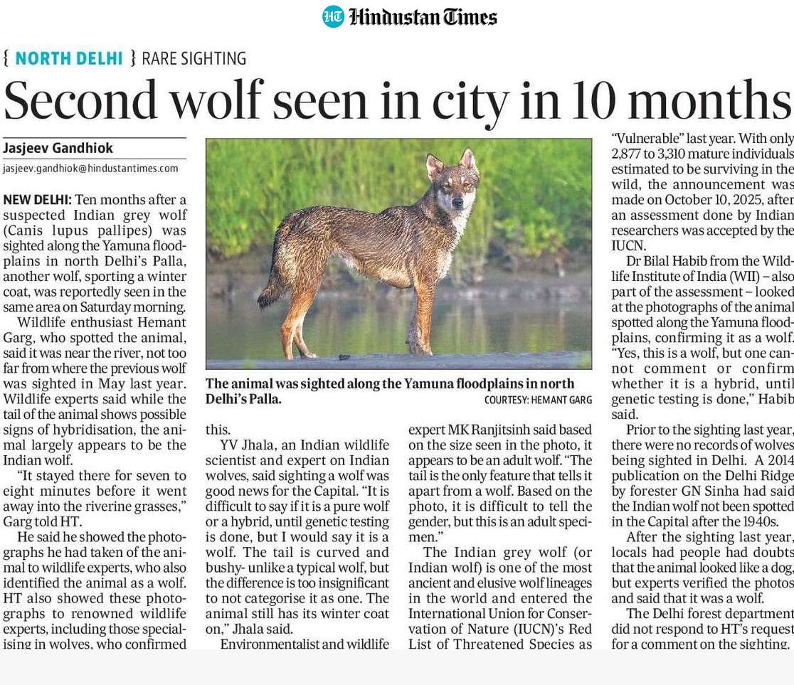 Neha Sinha tweet media