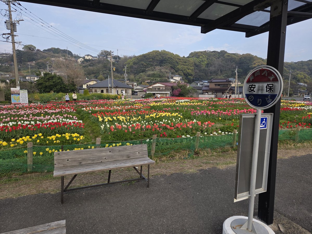 長崎バスユニオン tweet media