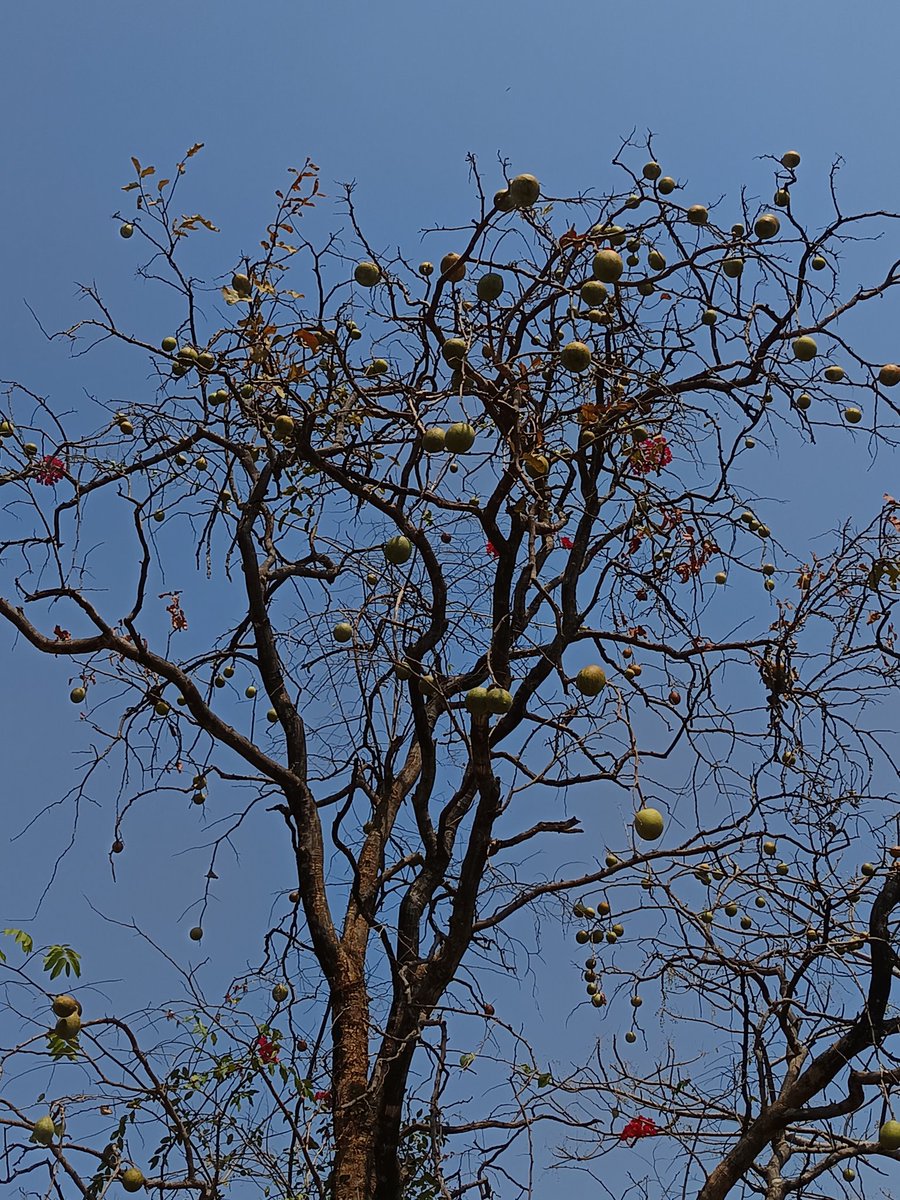 नीलेश रायचुरा tweet media