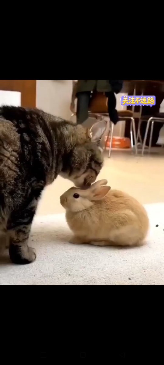 jn wang🇨🇳 tweet media