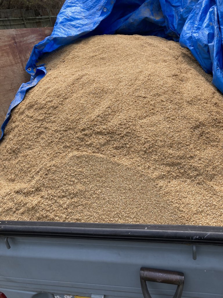 トリバルウ tweet media