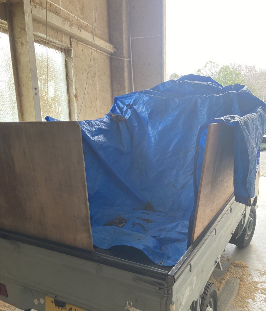 トリバルウ tweet media