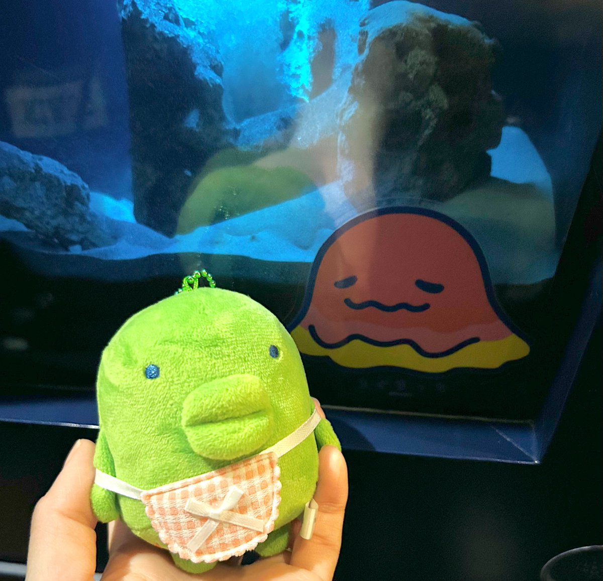 ぱっち tweet media