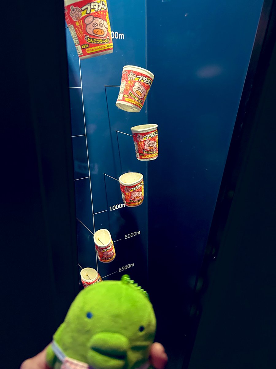 ぱっち tweet media