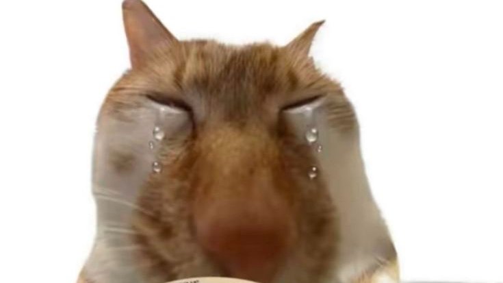 🎀𝒮𝓎𝓁𝓋𝒶𝑒🎀 tweet media