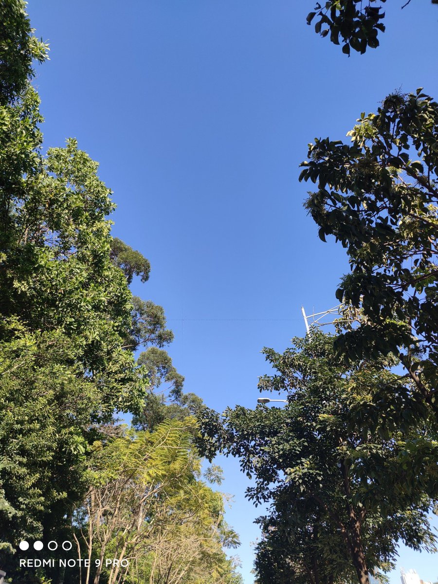 Janet Cornwell tweet media