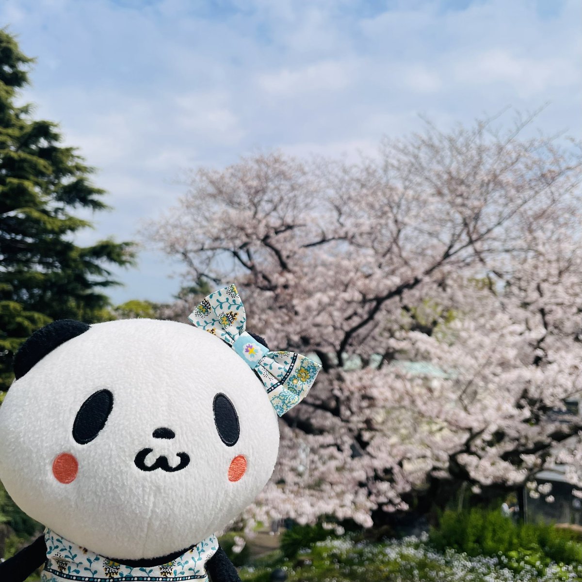 笹竹パン子 tweet media