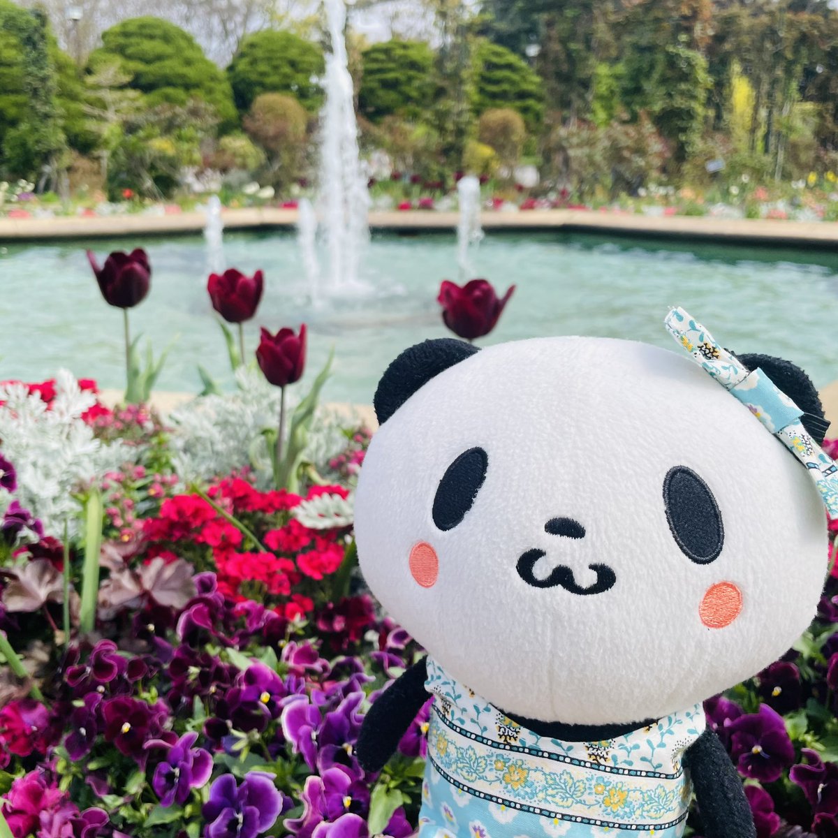 笹竹パン子 tweet media