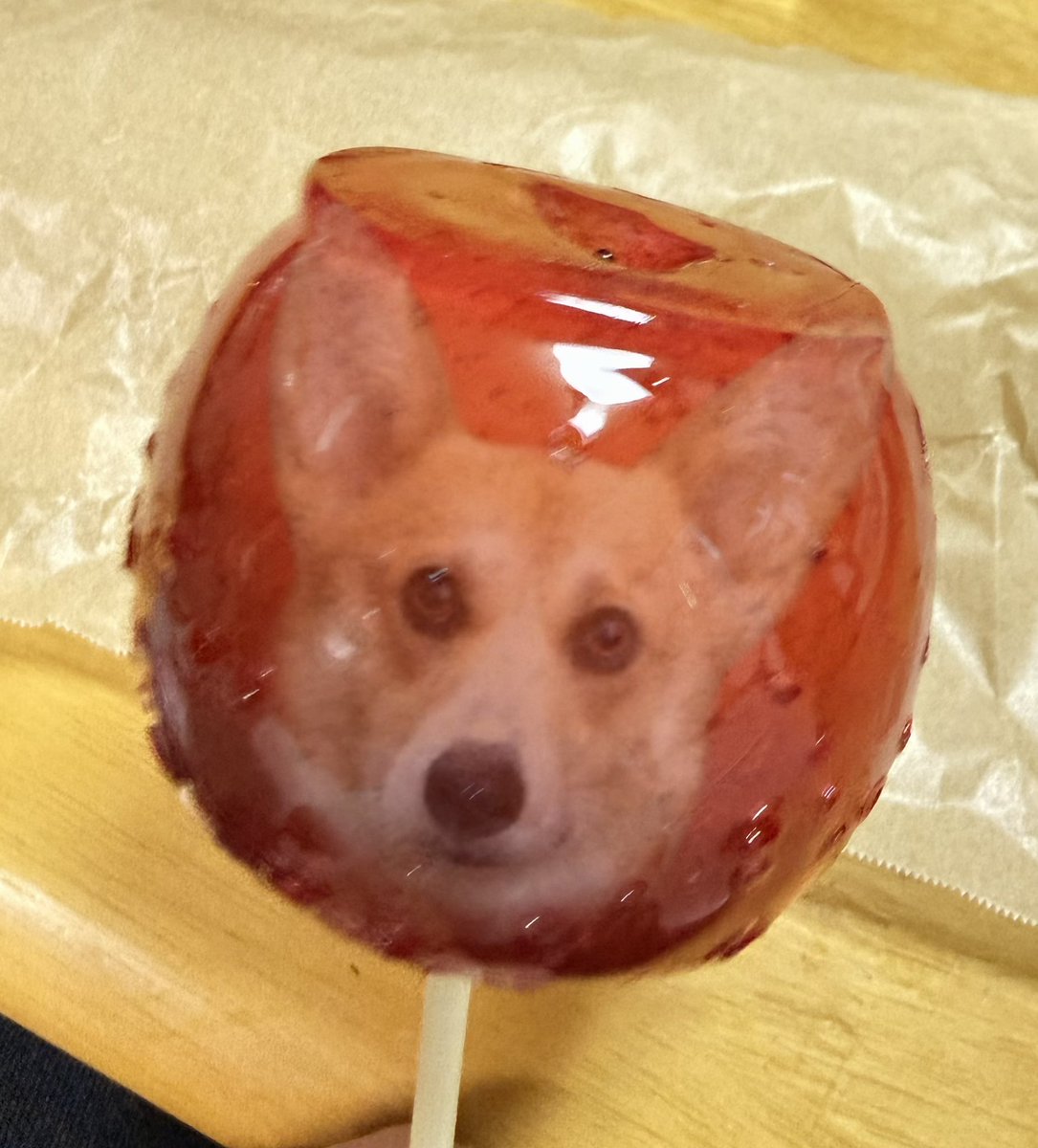 しがらみ箱 tweet media