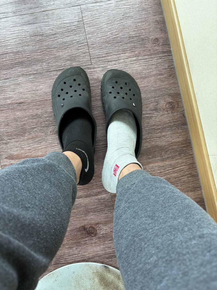 세슬라 tweet media