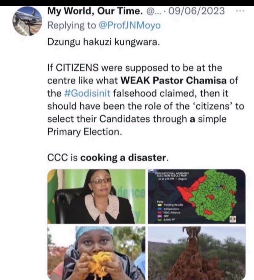 My World, Our Time. tweet media