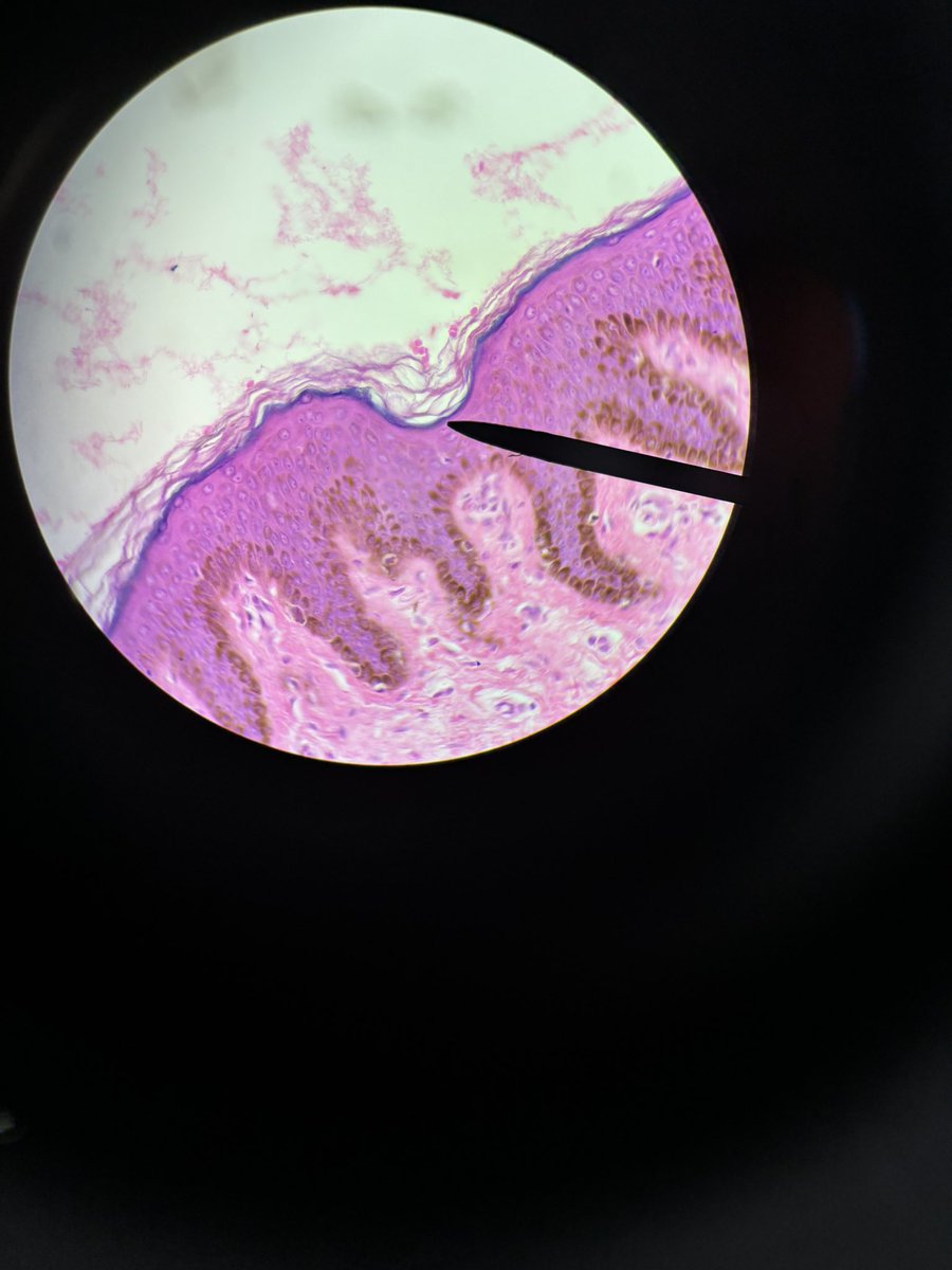 leah ☆ tweet media