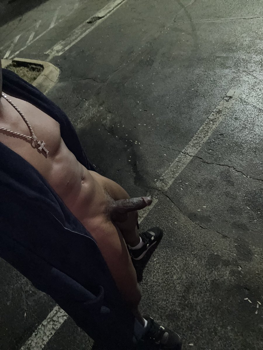 🦙 ALPACA THA MASTA 🦙 tweet media