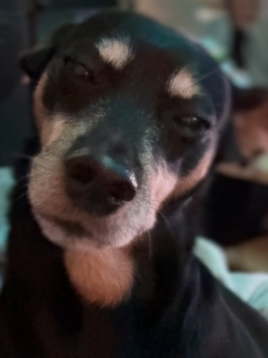 kako 🍀 tweet media