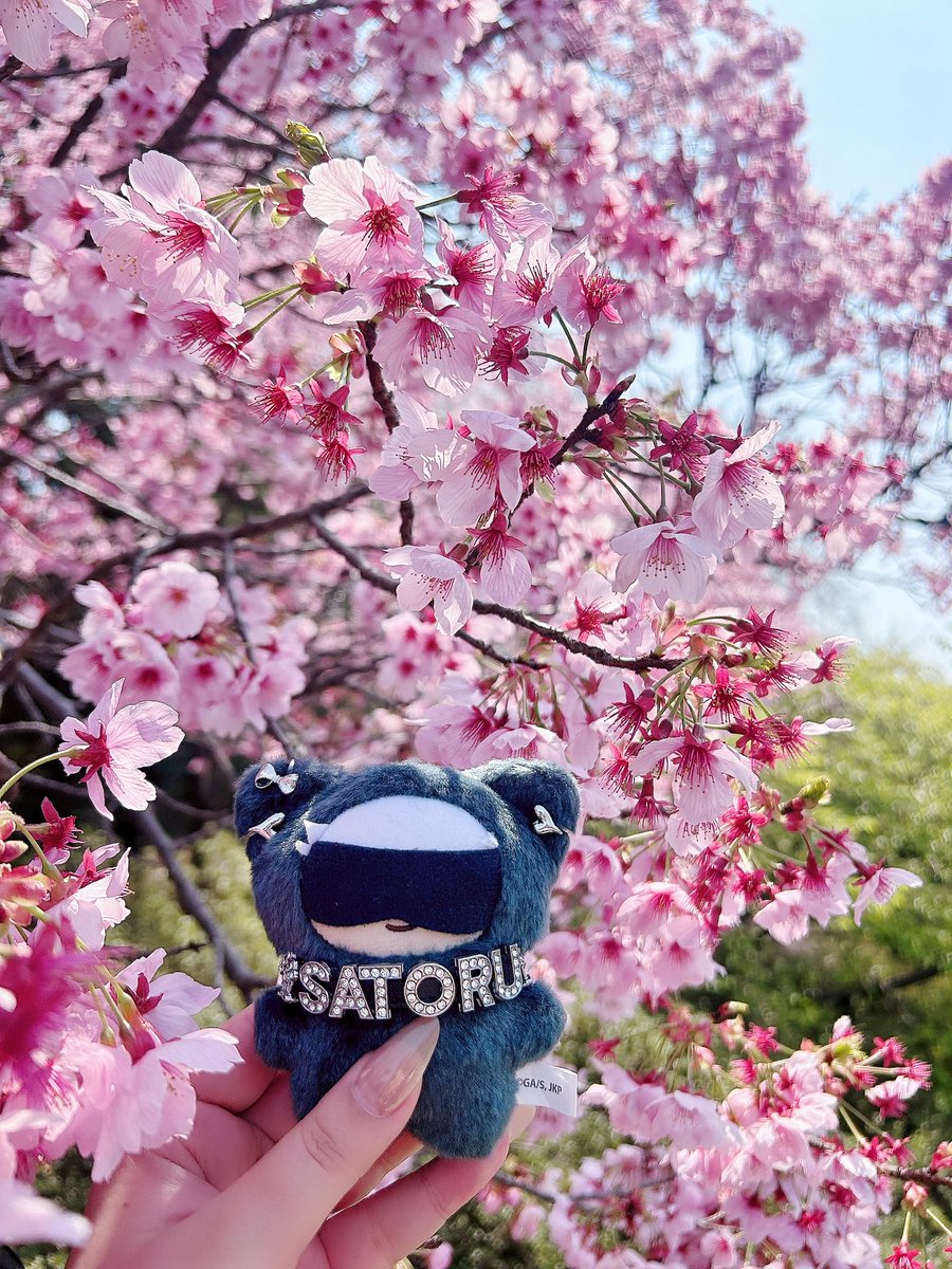 𝘢 - 𝘤 𝘩 𝘢 𝘯 ☁️ྀི tweet media