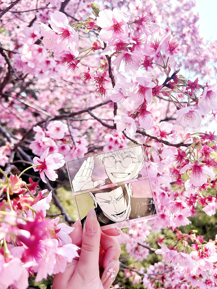 𝘢 - 𝘤 𝘩 𝘢 𝘯 ☁️ྀི tweet media