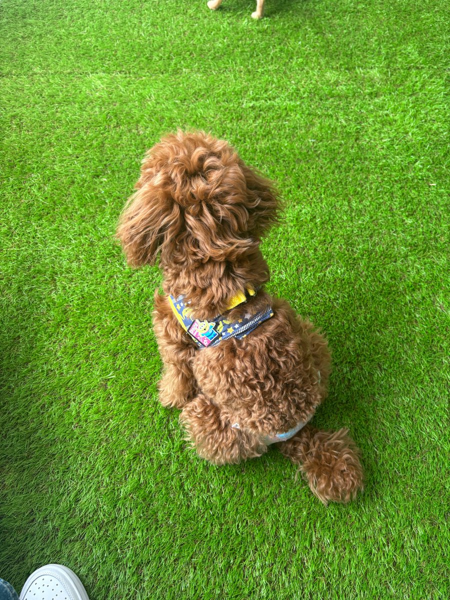 合同会社エースプランニング tweet media