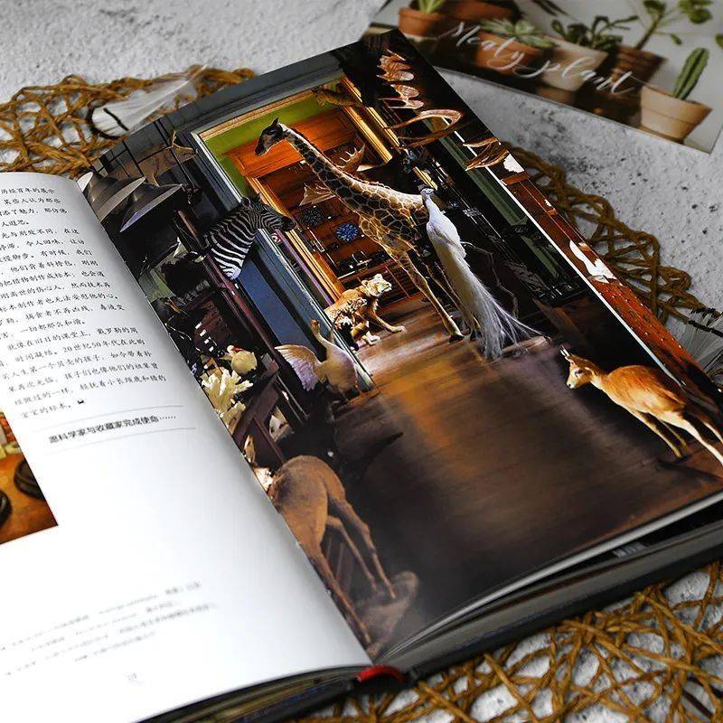 Allan tom tweet media