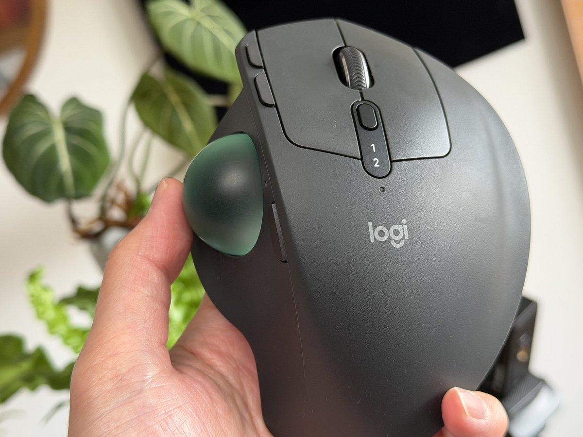 翁（おきな） tweet media