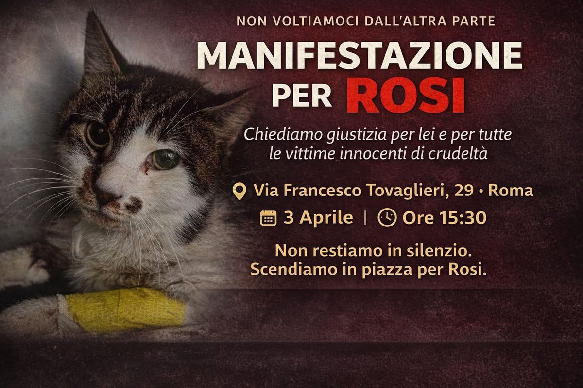 Se vi trovate a Roma o nei pressi...🙏🏻❤️