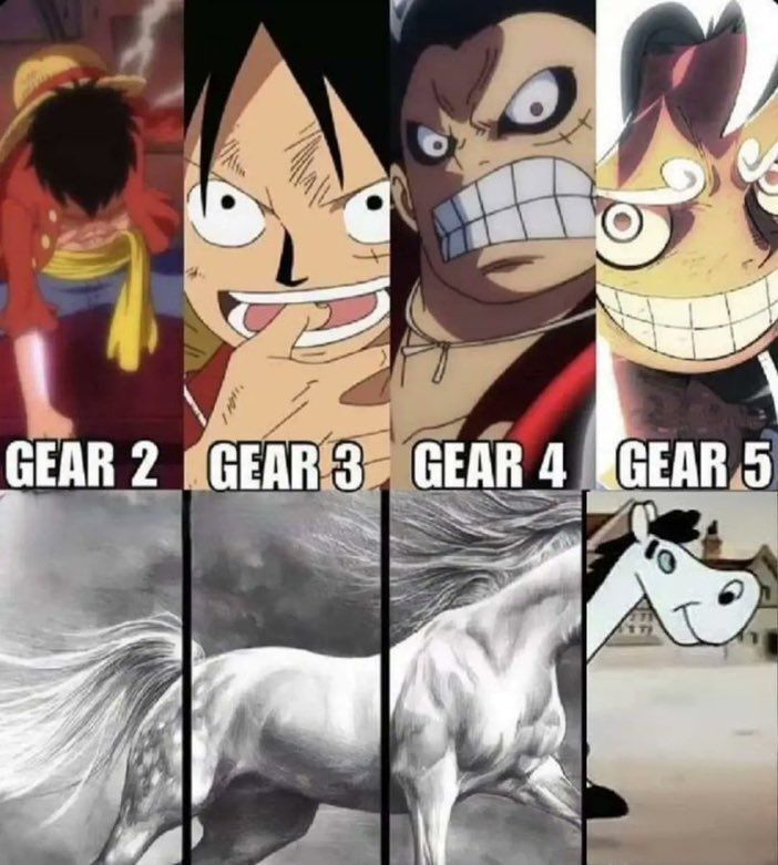 One Piece Daily tweet media