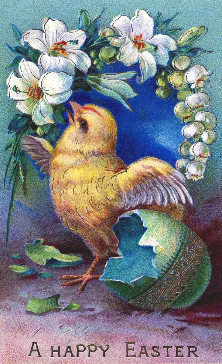 CA Safe Schools tweet media