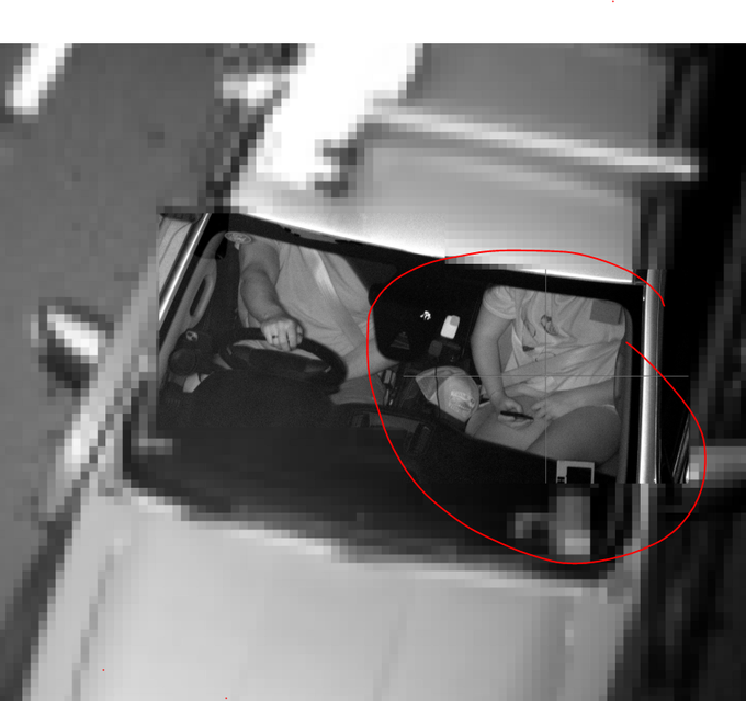 Timjbo 🇦🇺 tweet media