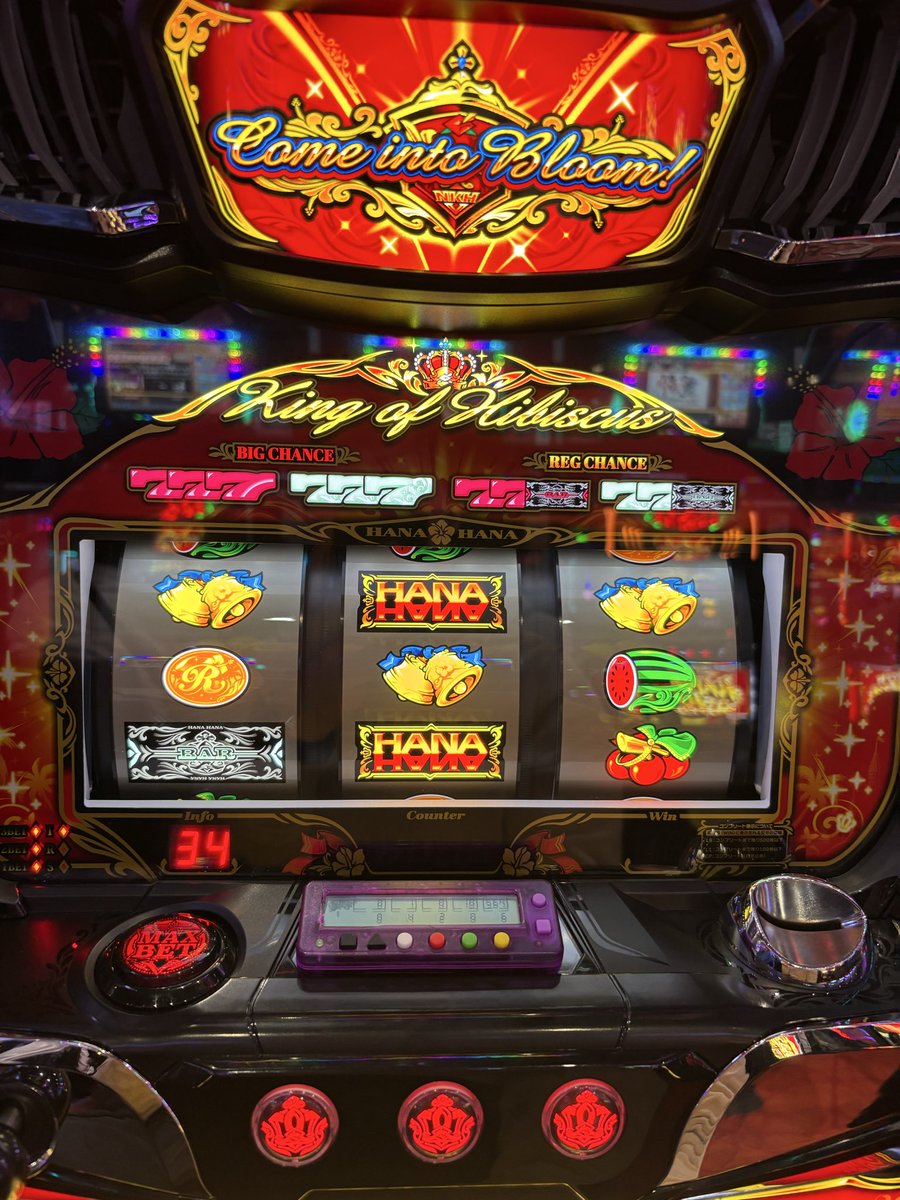 沈黙のハイビスカス tweet media