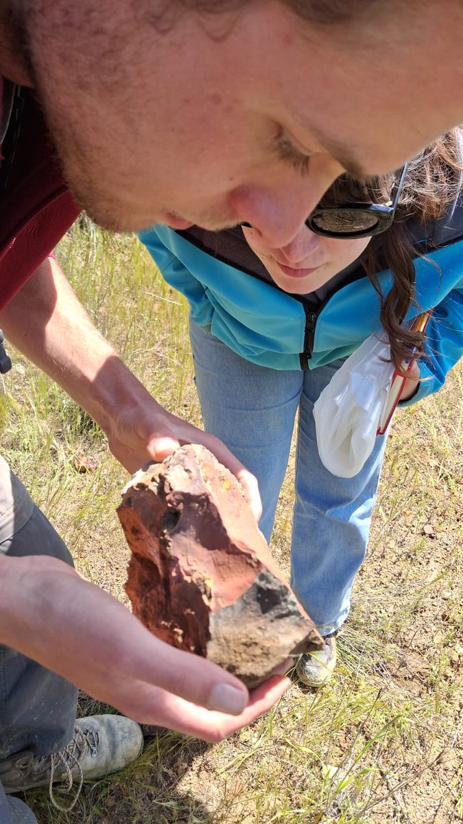 Axies Ventures tweet media