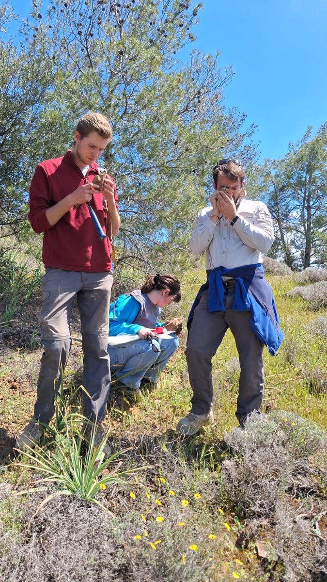 Axies Ventures tweet media