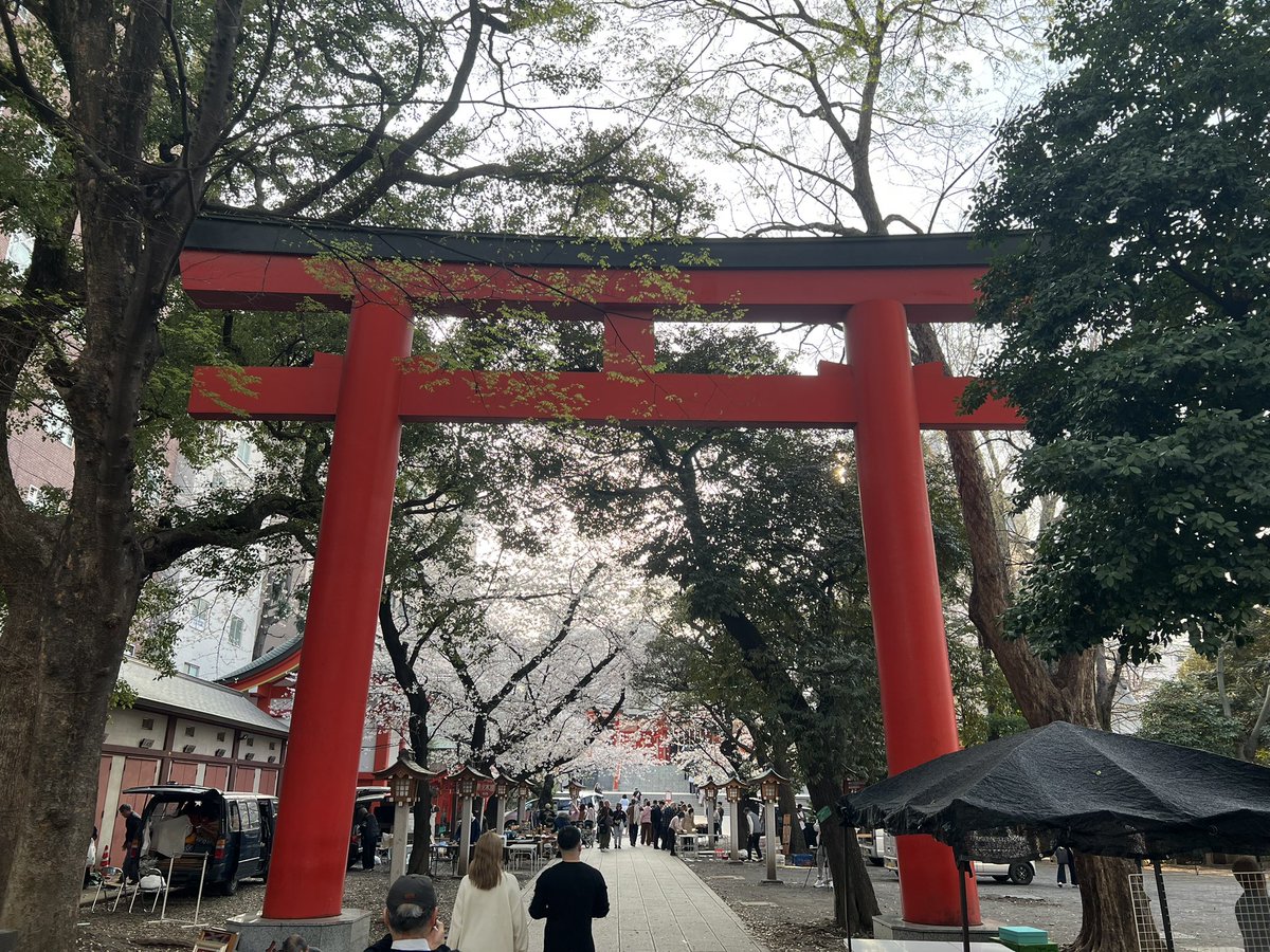 ぽりふぉ tweet media