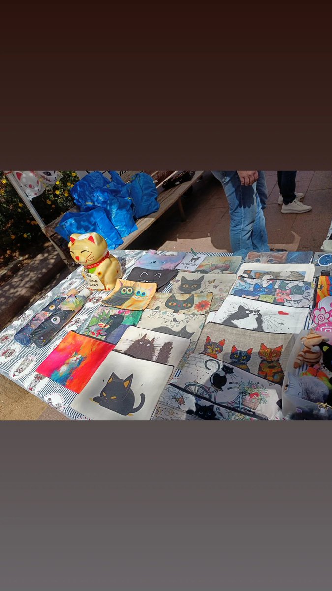 Mar 🌊 tweet media